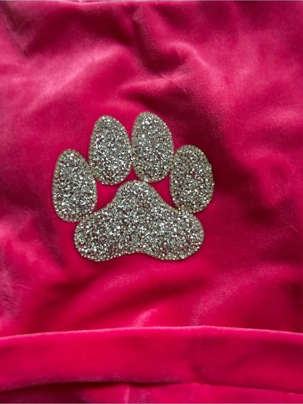 Glitter Paw Pet Blanket - Hot Pink